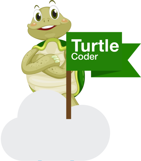 Turtle Coder Image
